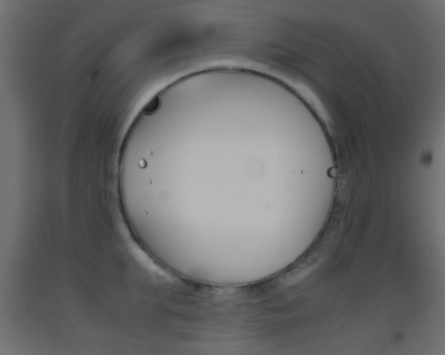 X0000093440903200710120943