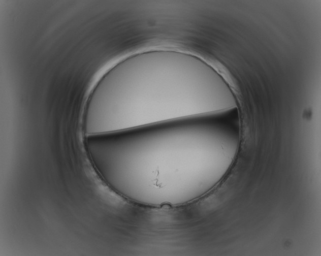 X0000093440904200710120943