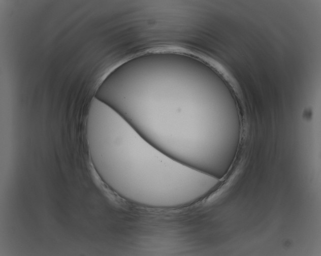 X0000093440905200710120943