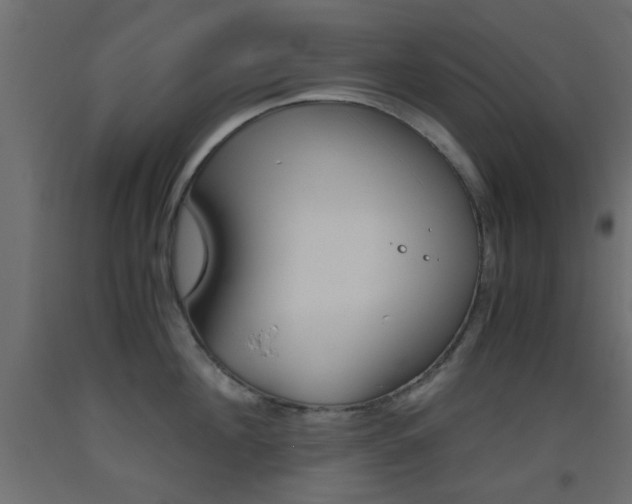 X0000093440908200710120943