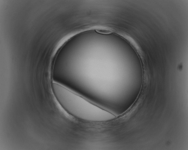 X0000093440910200710120943