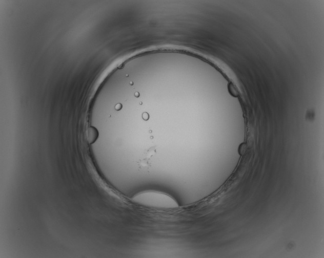X0000093440911200710120943