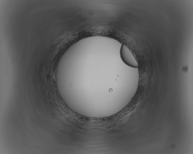 X0000093440913200710120942