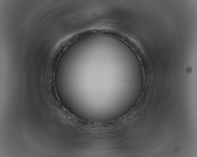 X0000093440920200710120942