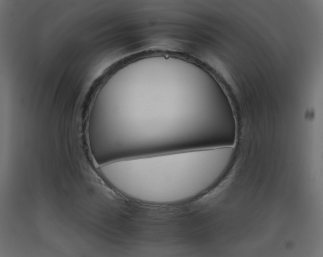X0000093440923200710120942