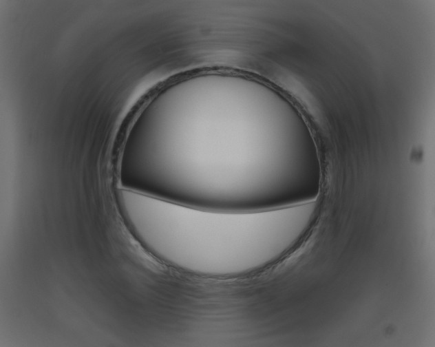 X0000093440924200710120942