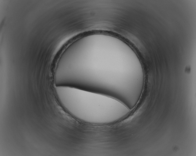 X0000093440926200710120942