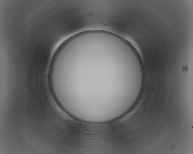 X0000093440928200710120942