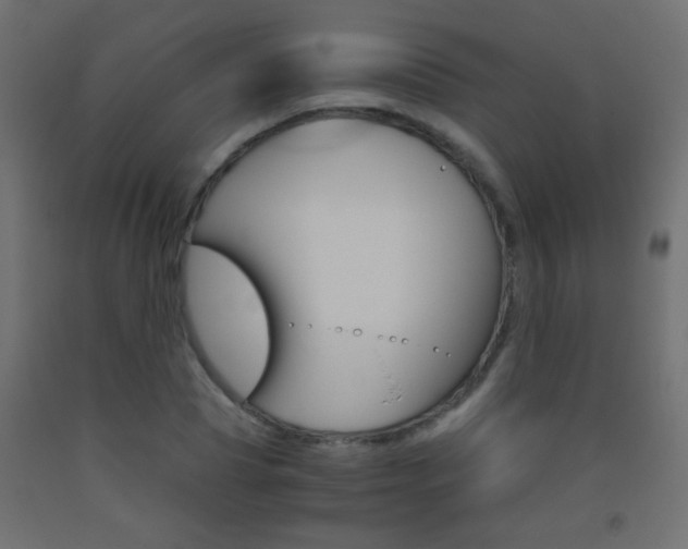 X0000093440929200710120942