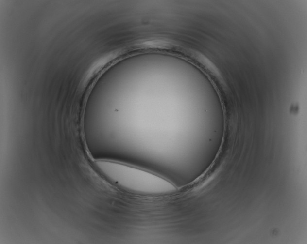 X0000093440930200710120942