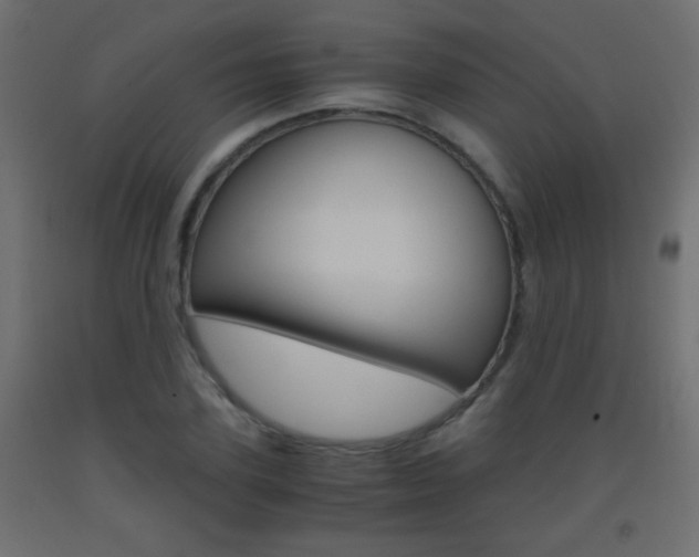 X0000093440931200710120942