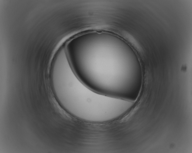 X0000093440932200710120942