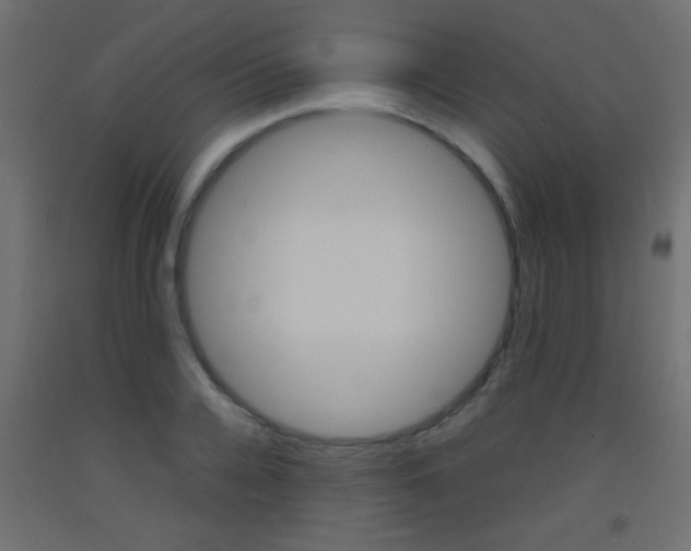 X0000093440936200710120943