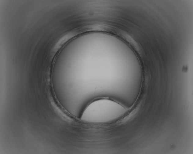 X0000093440938200710120943