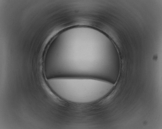 X0000093440939200710120943