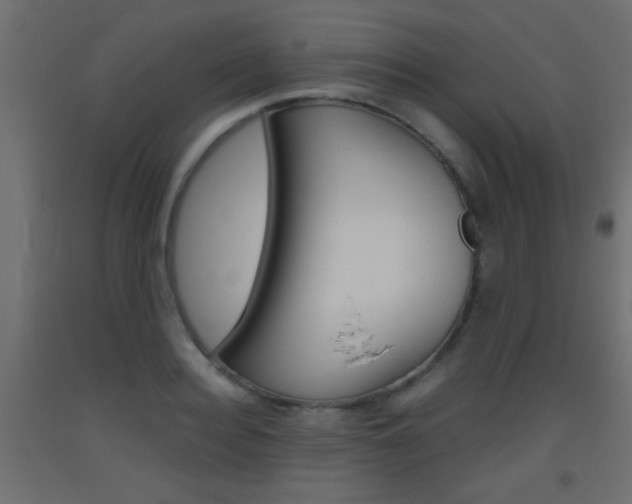 X0000093440940200710120943
