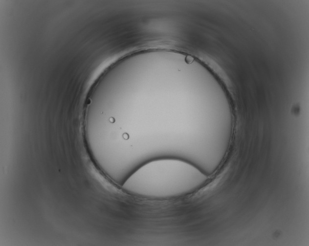 X0000093440941200710120943