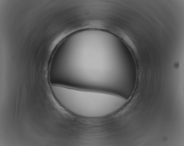 X0000093440944200710120943
