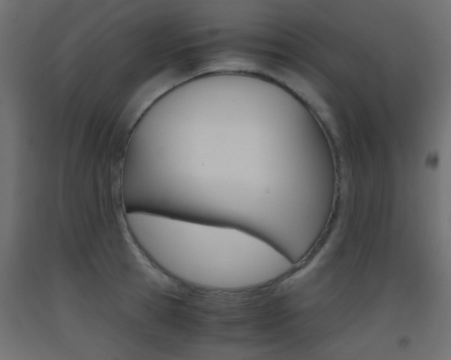 X0000093440945200710120943