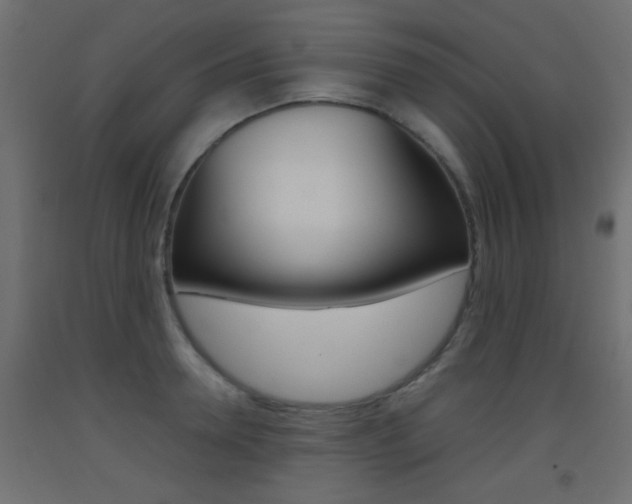 X0000093440946200710120943
