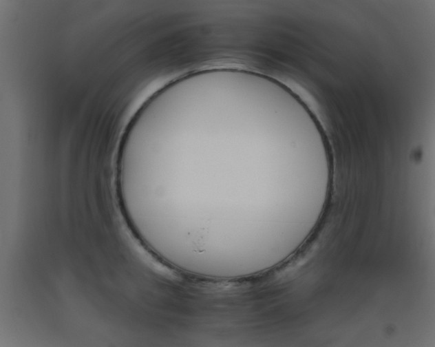 X0000093440949200710120943