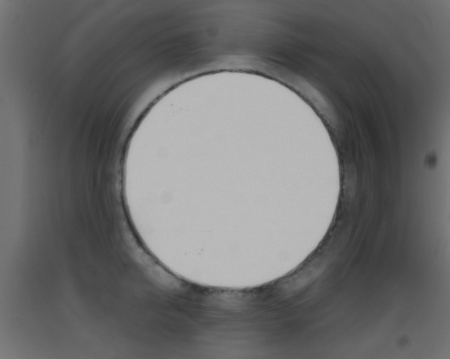 X0000093440950200710120943