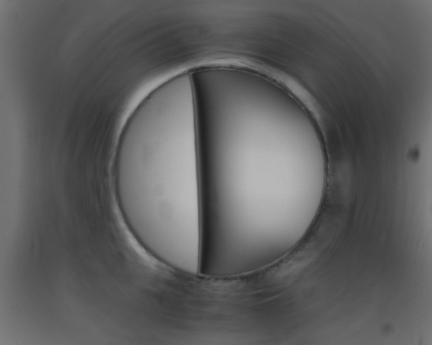 X0000093440951200710120943