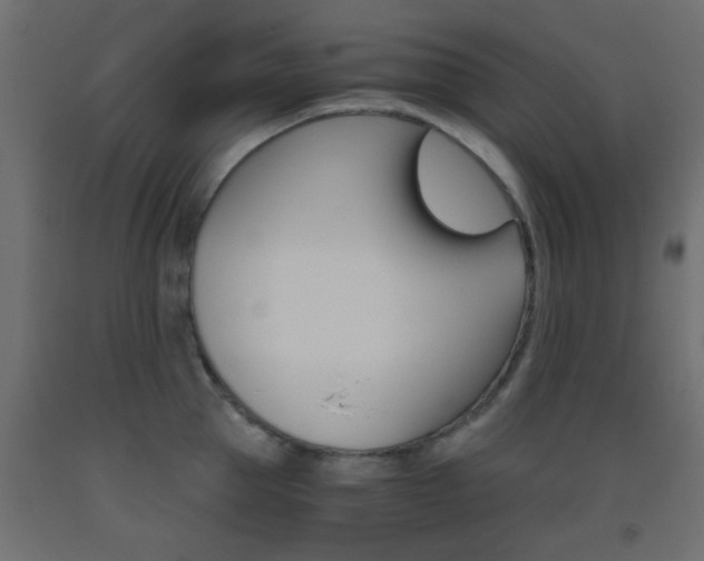 X0000093440953200710120943