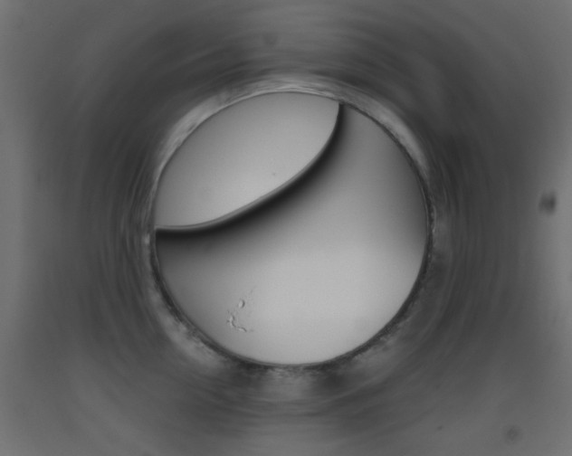 X0000093440954200710120943