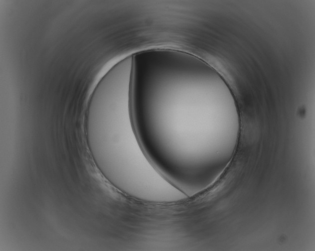 X0000093440956200710120943