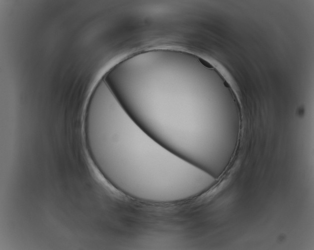 X0000093440957200710120943