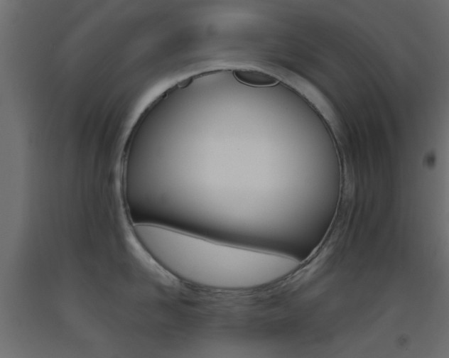 X0000093440958200710120943