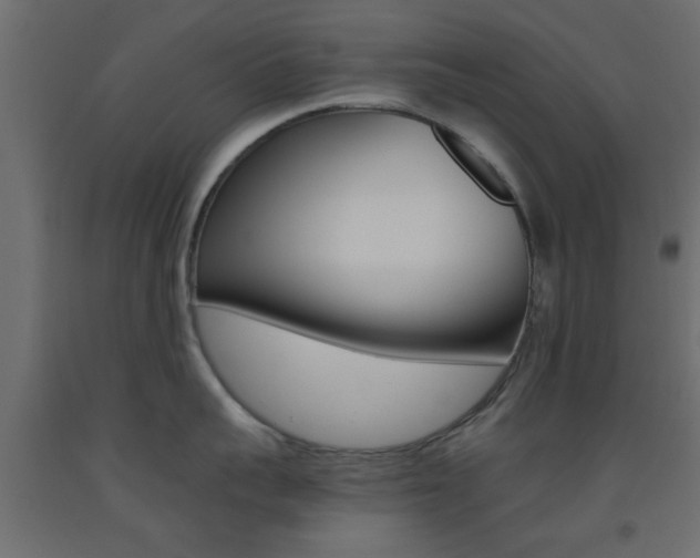 X0000093440959200710120943