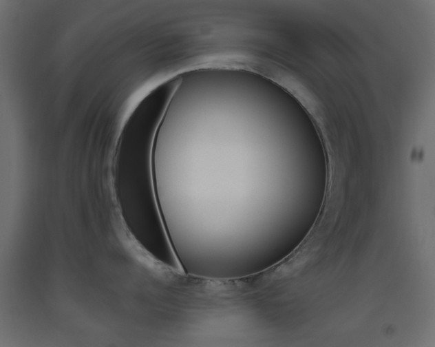 X0000093440960200710120943