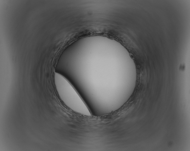 X0000093440961200710120942