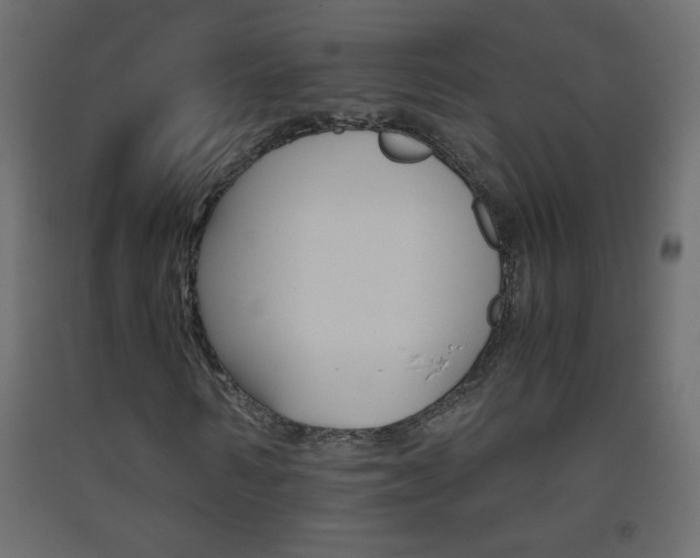 X0000093440962200710120942