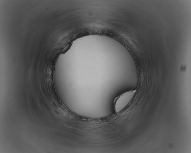 X0000093440964200710120942
