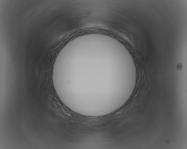 X0000093440965200710120942