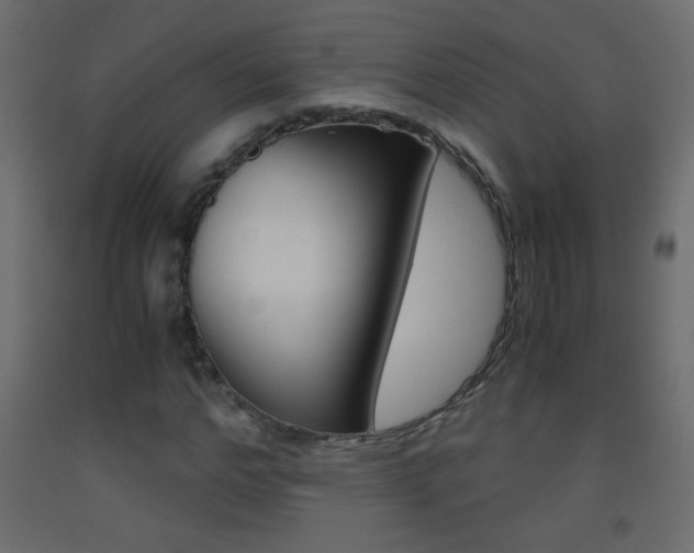 X0000093440968200710120942