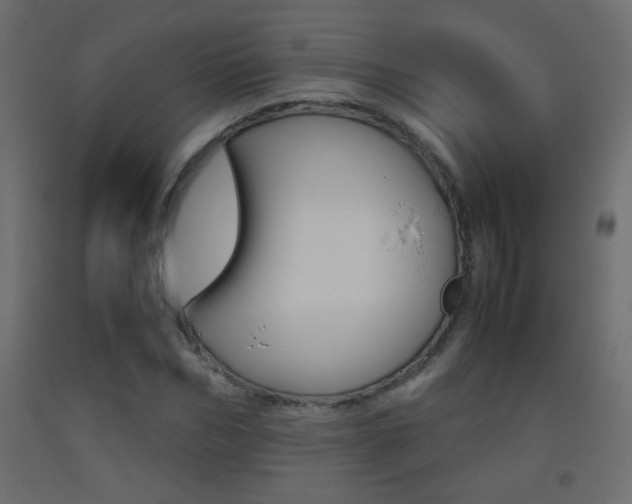 X0000093440970200710120942