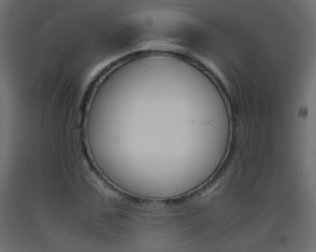 X0000093440971200710120942