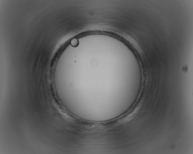 X0000093440974200710120942