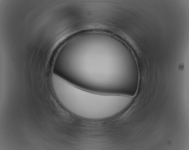 X0000093440975200710120942