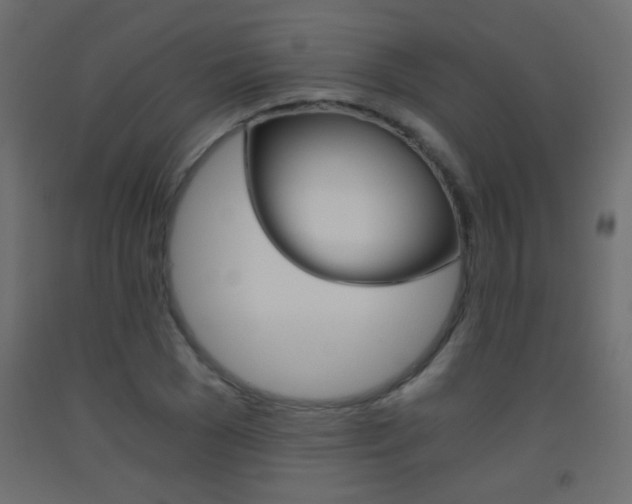 X0000093440977200710120942