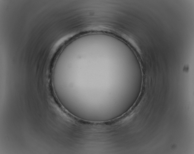 X0000093440979200710120942