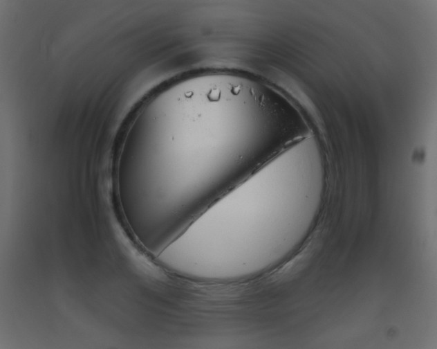 X0000093440984200710120942