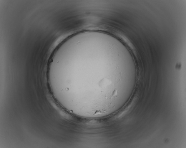 X0000093440986200710120942