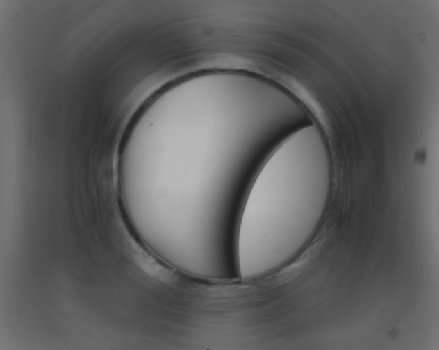 X0000093440988200710120942