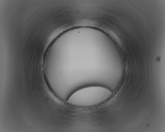 X0000093440990200710120942