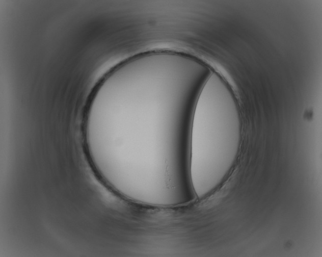 X0000093440991200710120942
